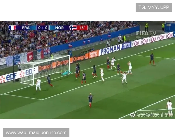 挪威vs法国世界杯比赛比分统计数据及赛后专家点评全面解析